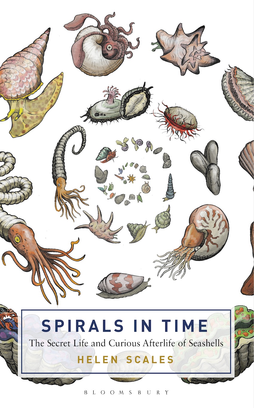 Spirals-in-Time-small.jpg