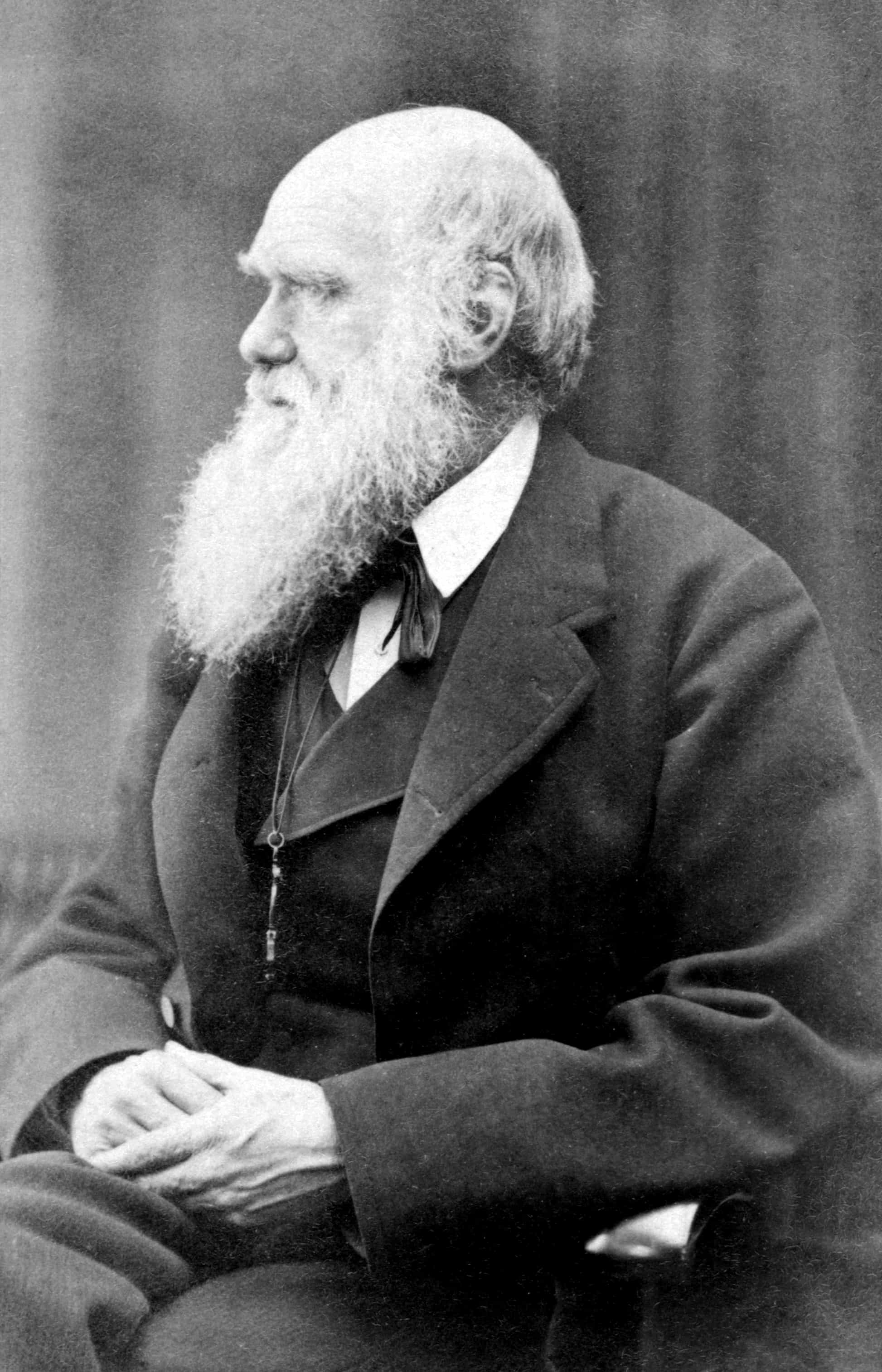 Charles_Darwin_photograph_by_Oscar_Rejlander_circa_1871-bw.jpg