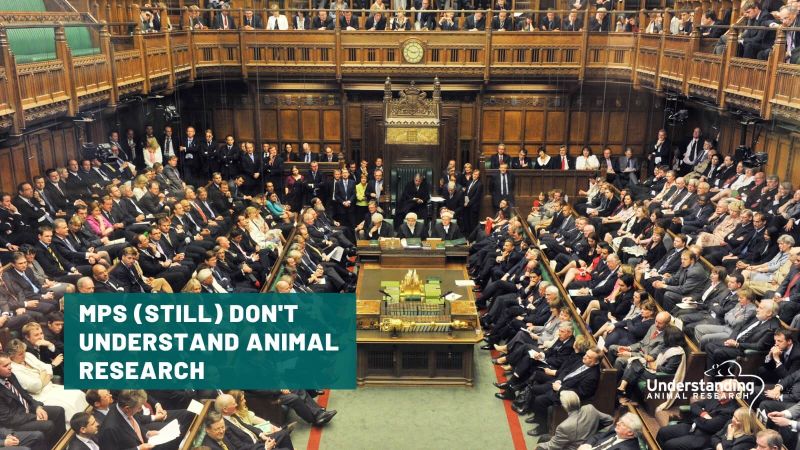 MPs (still) don't understand animal research