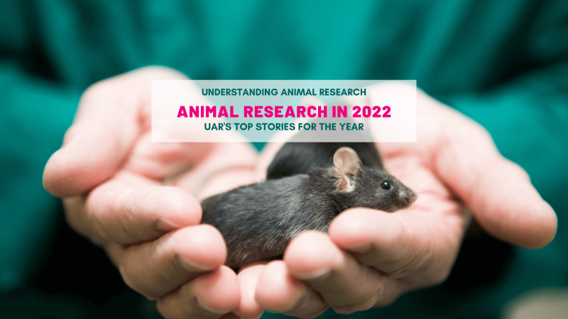 UAR's Top 10 Animal Research Stories of 2022