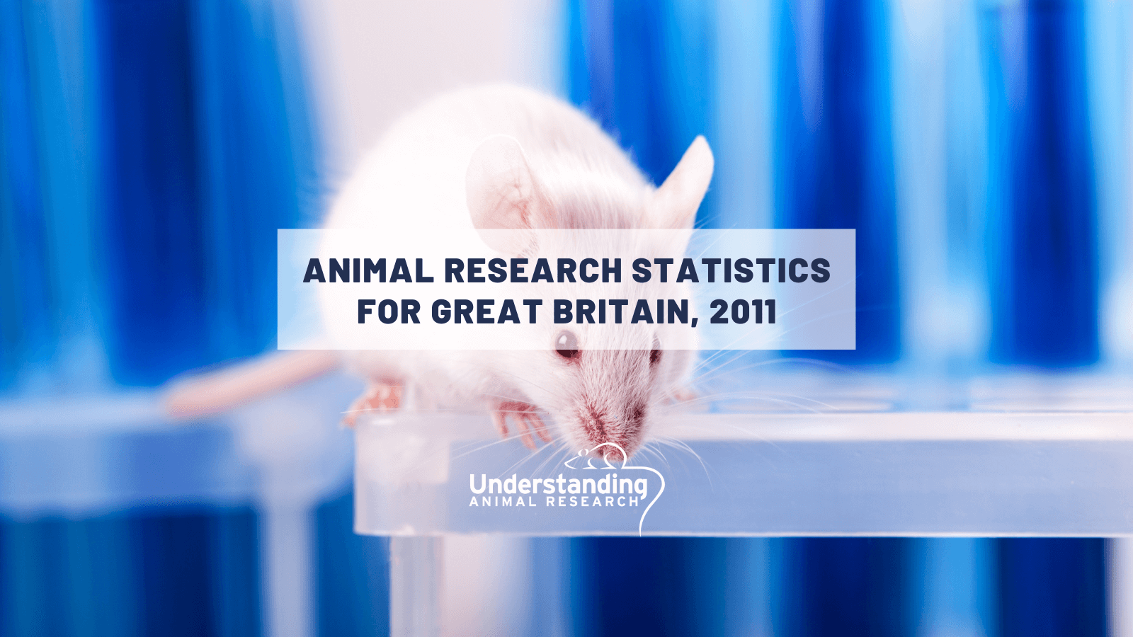 Animal research statistics for Great Britain, 2011