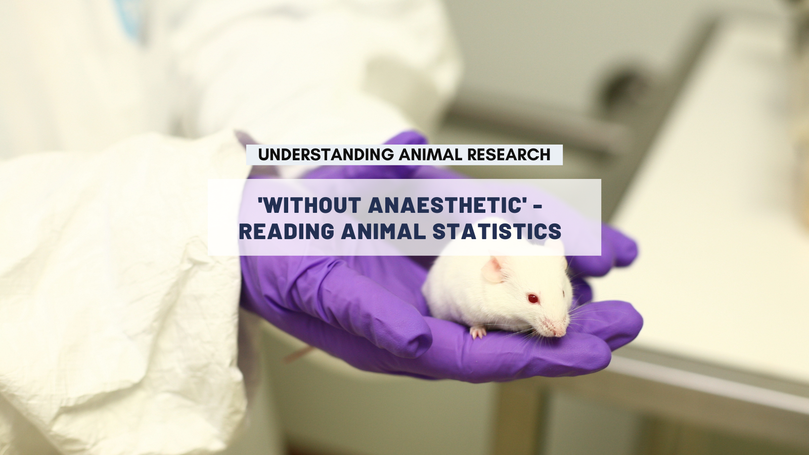 'Without anaesthetic' - reading animal statistics