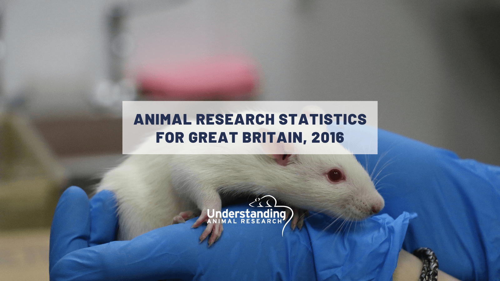 Animal research statistics for Great Britain, 2016