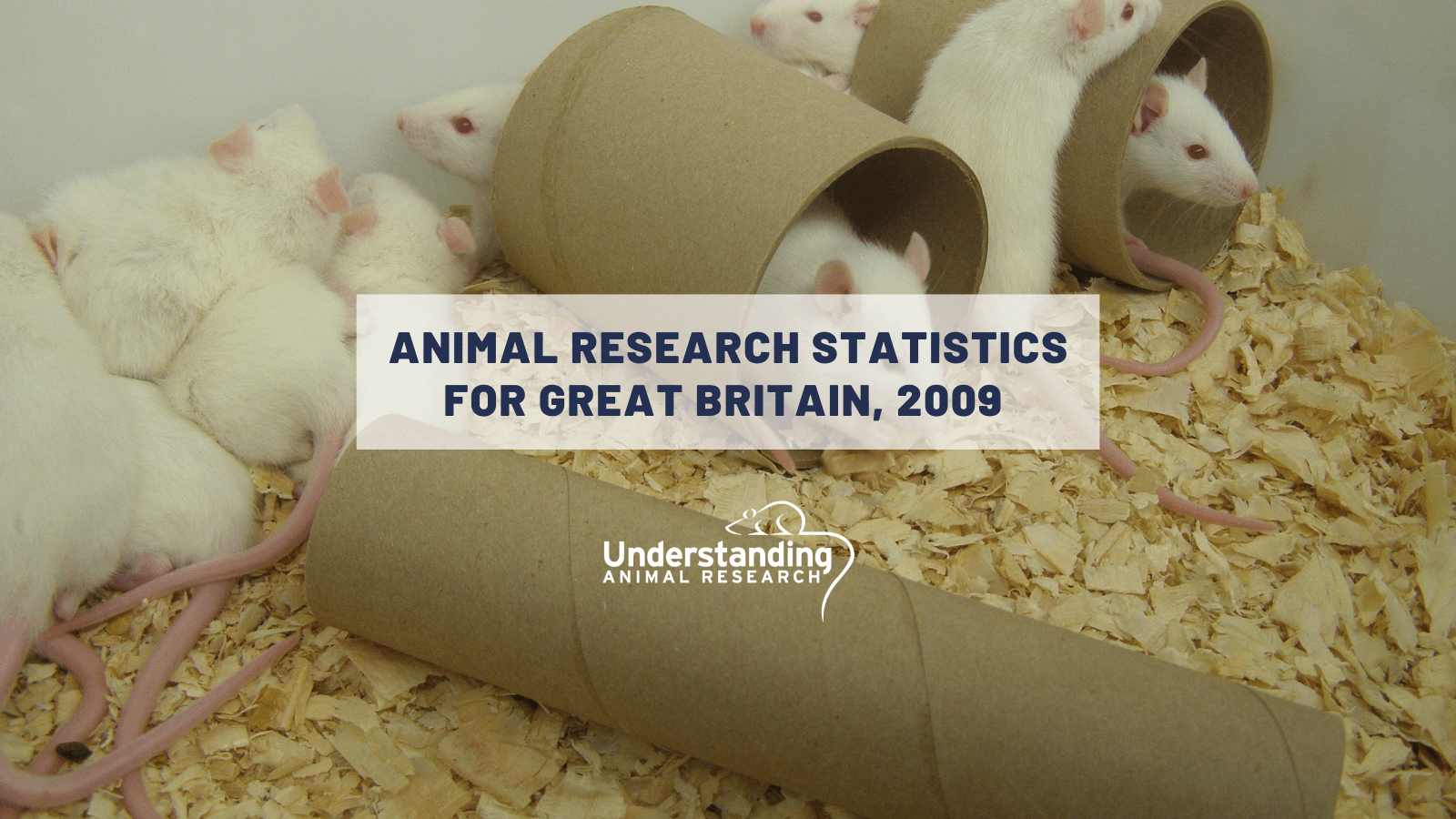 Animal research statistics for Great Britain, 2009