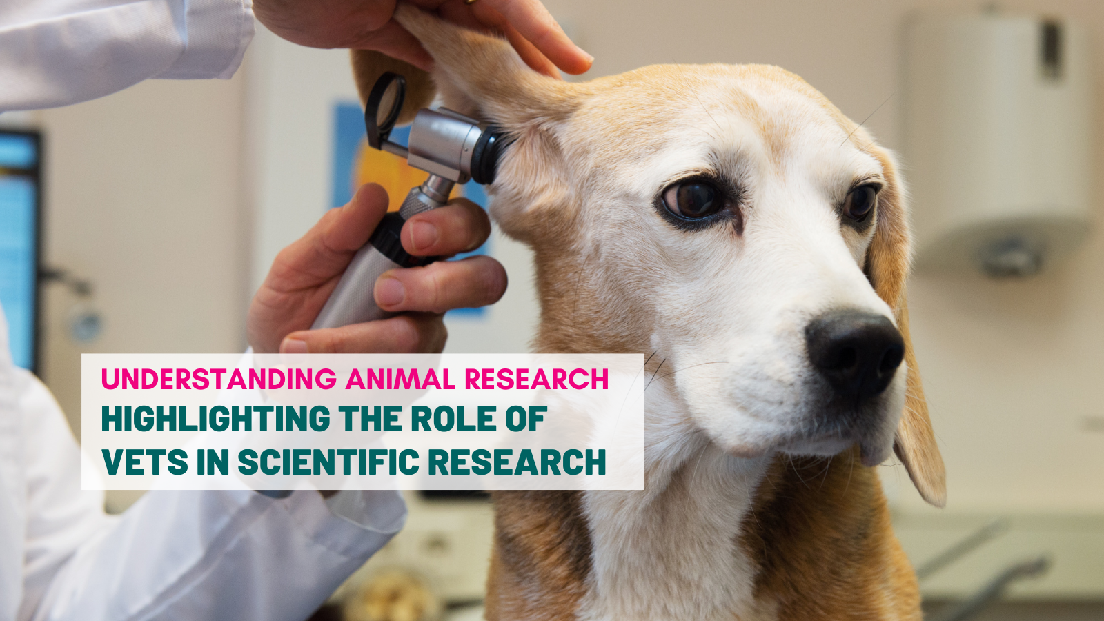 Highlighting the role of vets in research
