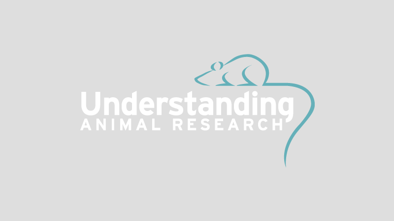 Long Covid, can animals provide the answers?