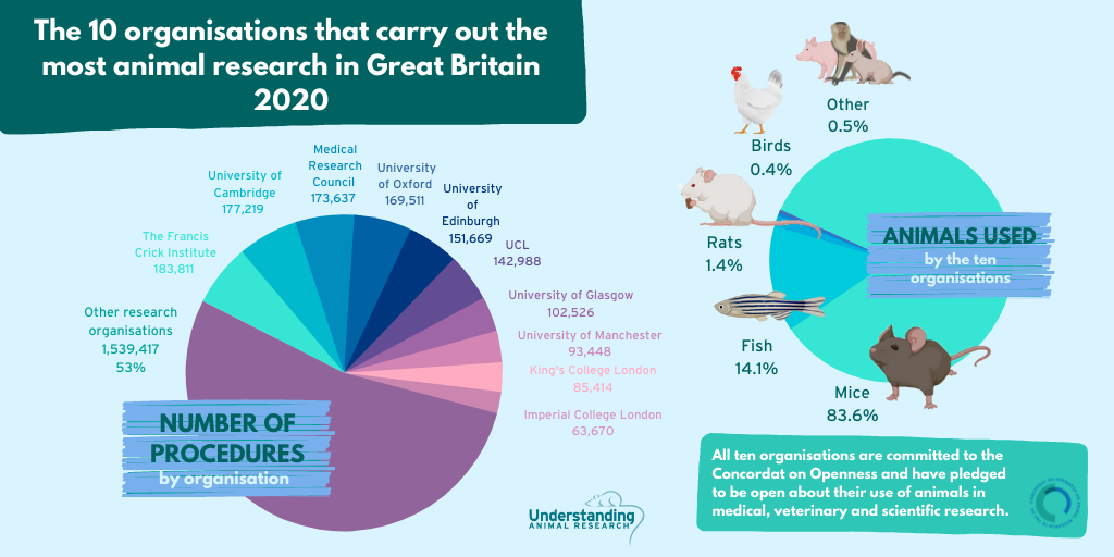 Ten organisations account for nearly half of all animal research in Great  Britain in 2020