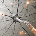invitro–cell–neuroscience.jpg