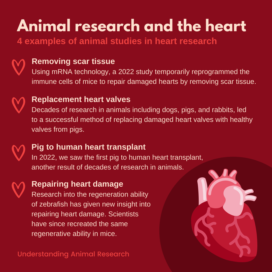 Animal research news: February 2022