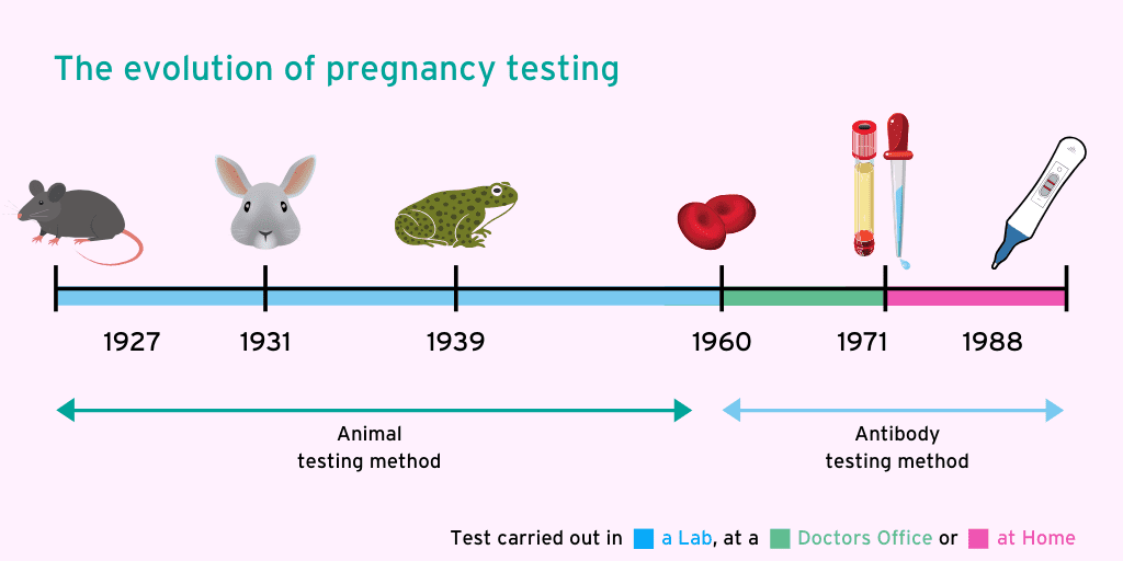 The_evolution_of_pregnancy_testing_3.png