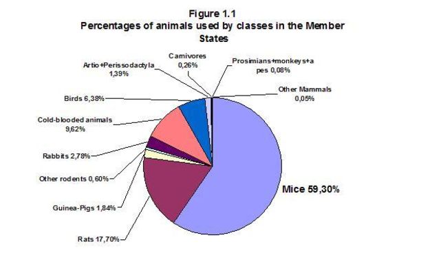 EU-wide animal research statistics, 2008 :: Understanding Animal Research
