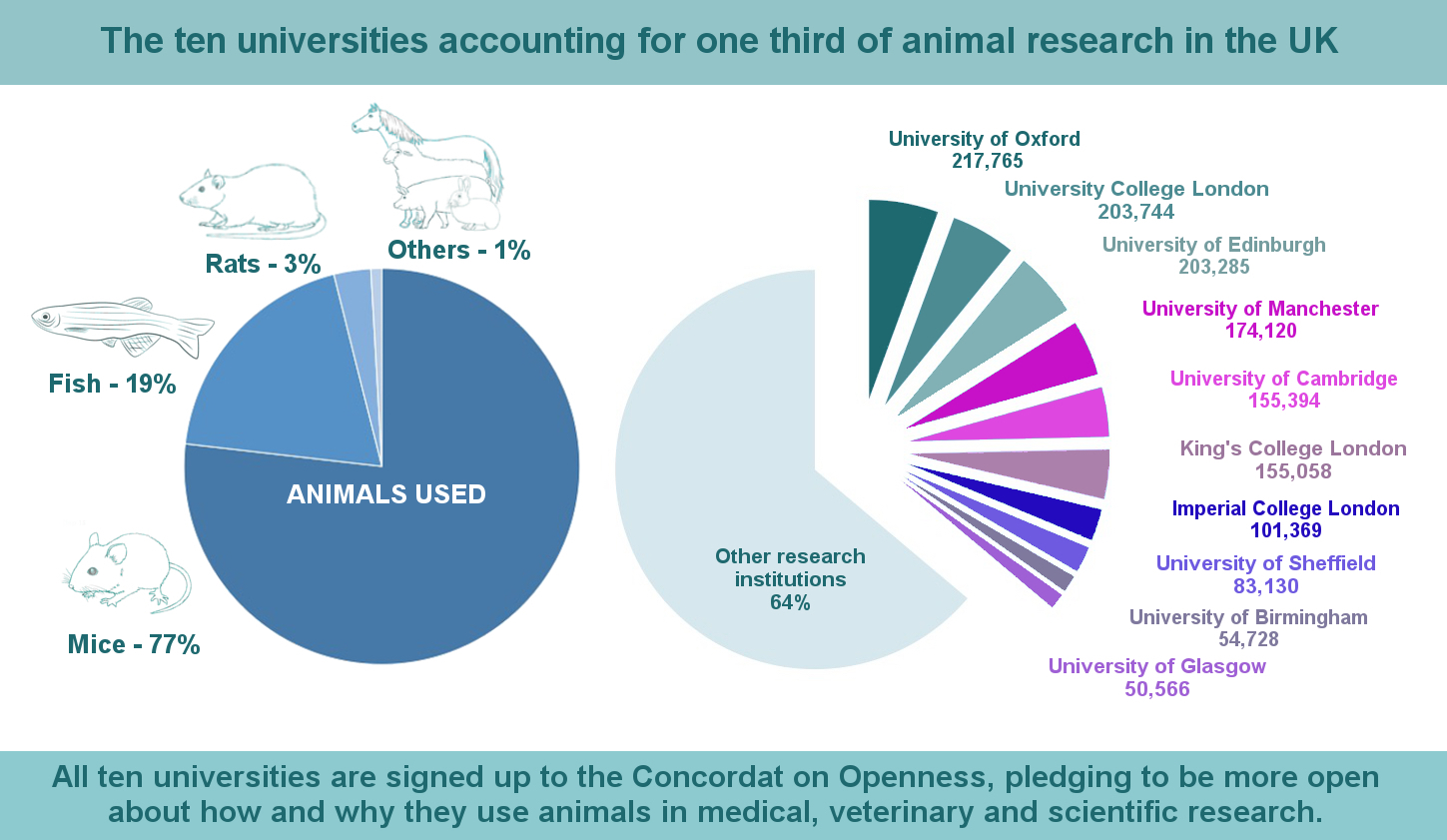 Infographic_on_ten_universities_using_most_animals_for_research_in_the_UK.jpg