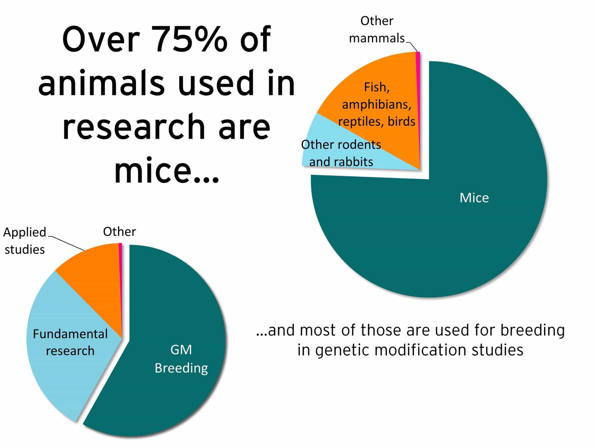 75-animals-used-pie-chart.jpg