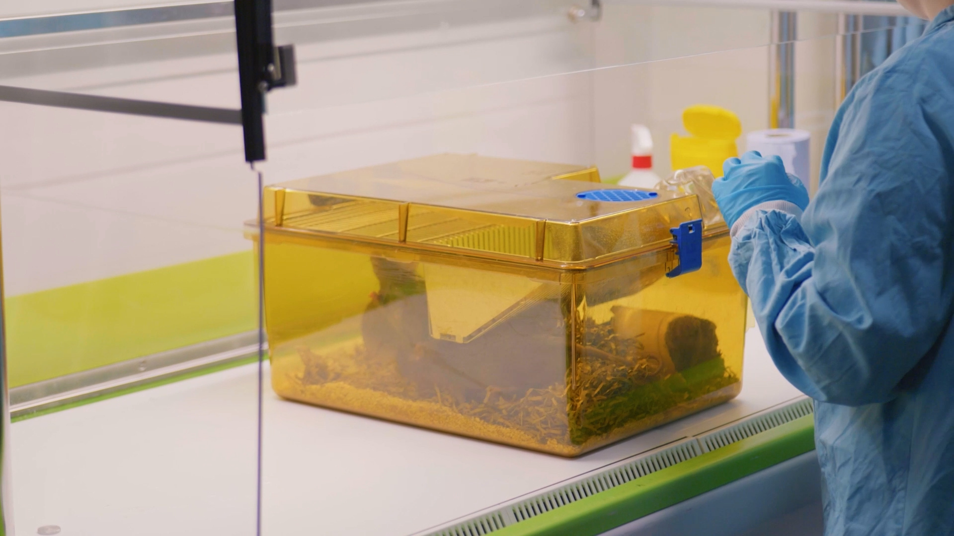 Standard laboratory rat enclosure CC UAR