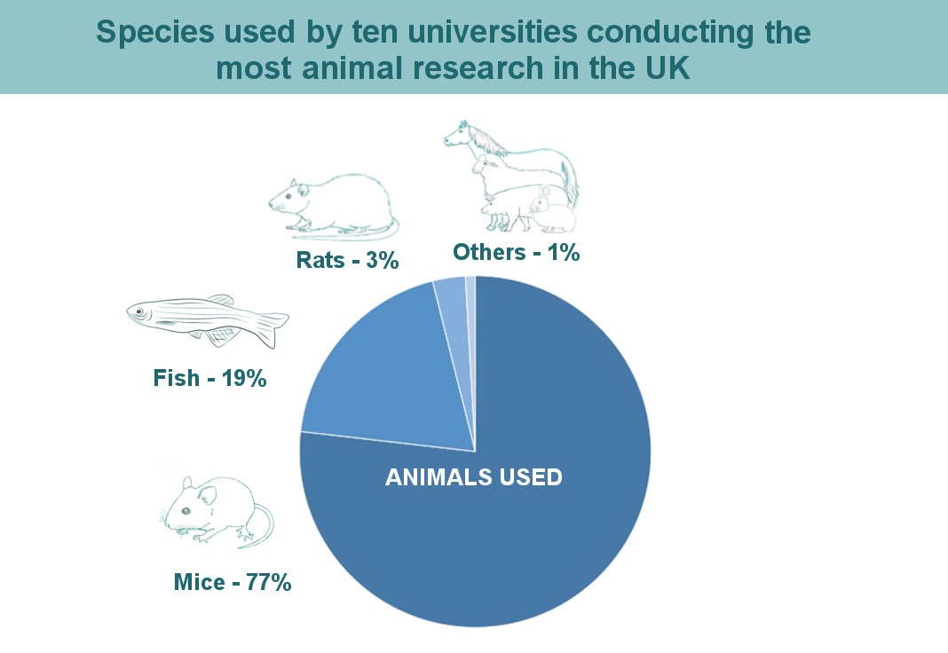 Species_used_by_ten_universities_conducting_the_most_animal_research_in_the_UK.jpg