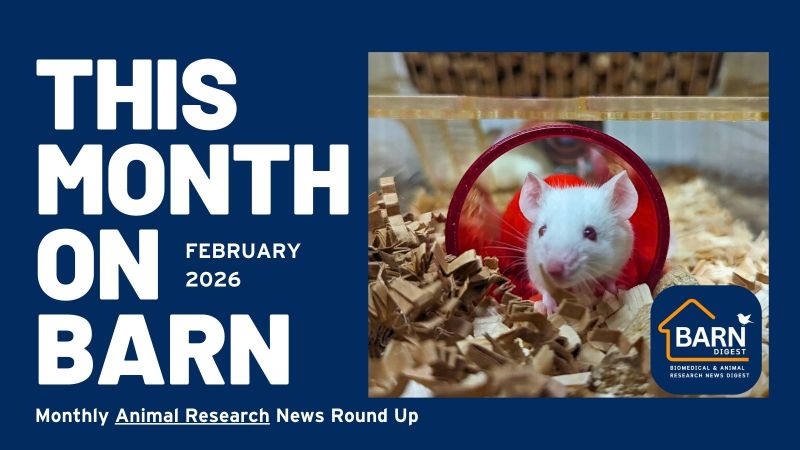 This month on BARN - animal research news from UAR members (February 2026)