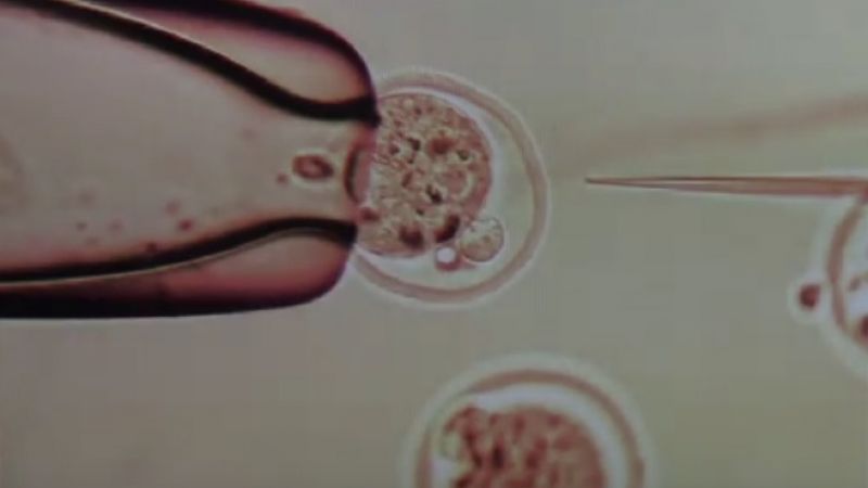 Injecting RNA into a mouse embryo