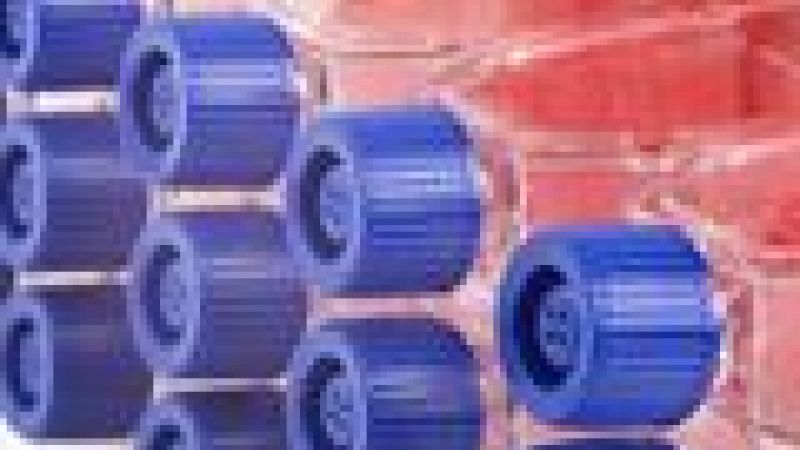 'Magnetic' stem cells target damaged blood vessels