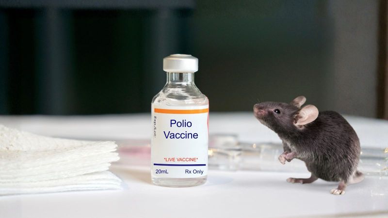 A disease on the brink of eradication: how animal research led to polio vaccines