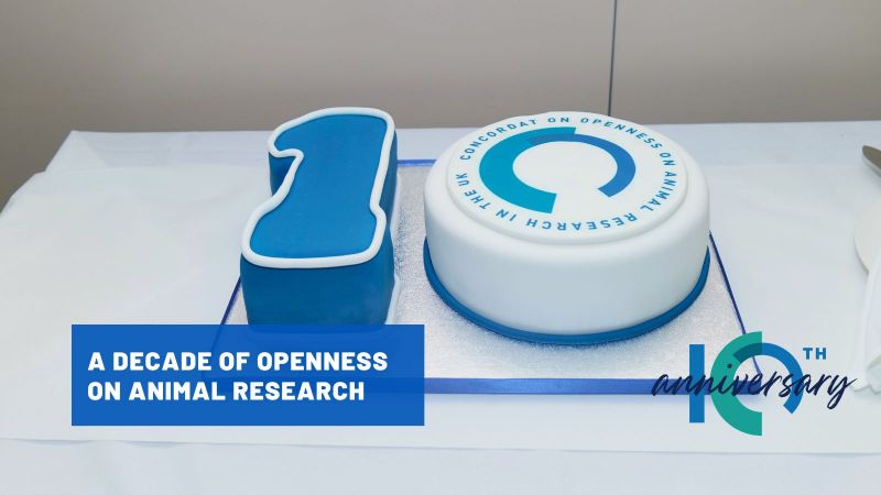 A decade of openness on animal research
