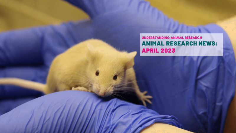 Animal Research News: April 2023