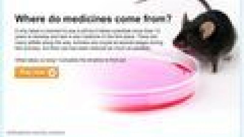 The Shuffle: new interactive