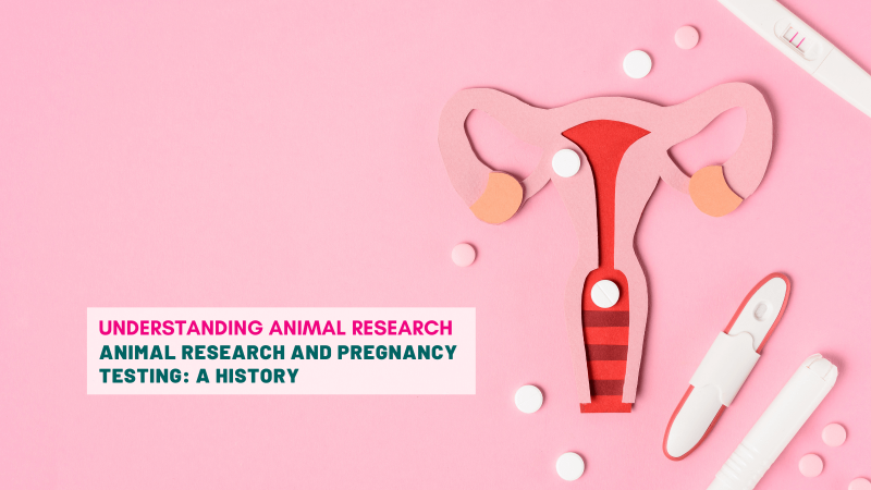 Animal research and pregnancy testing: a history