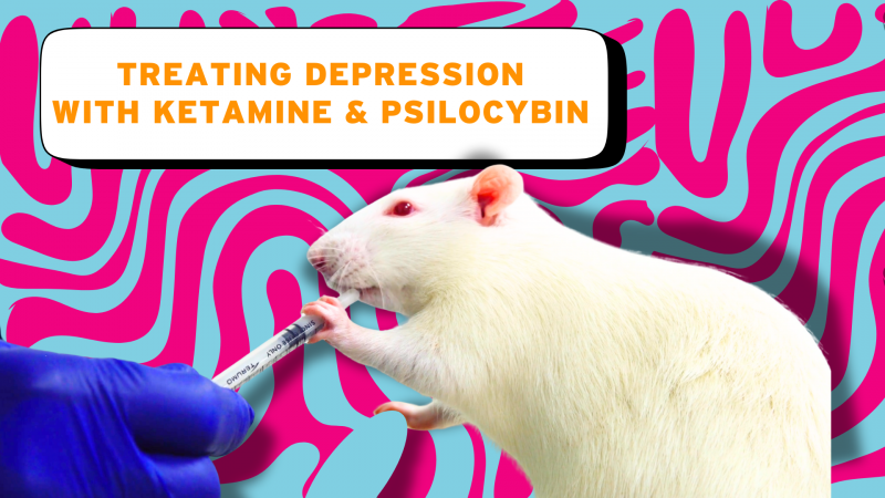 Treating Depression with Ketamine and Psilocybin