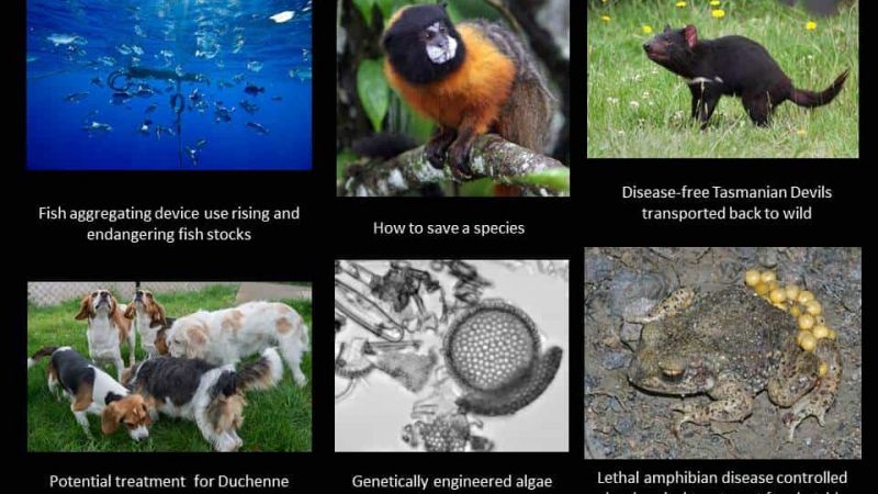 This week in animal research 201115