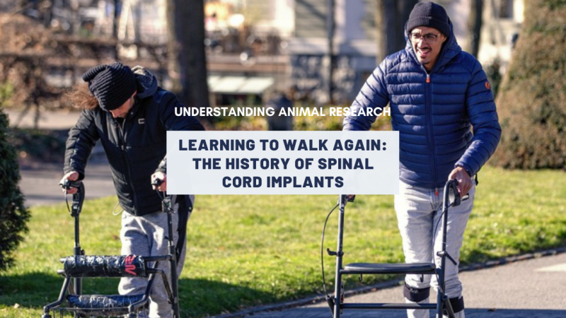 Learning to walk again: the history of spinal cord implants