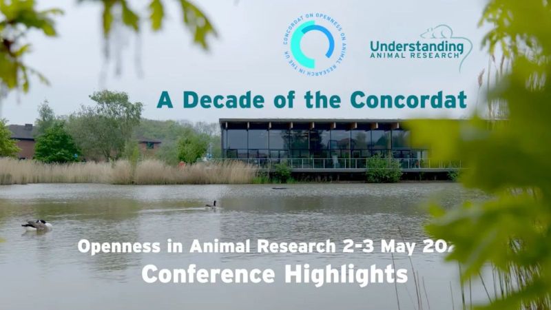 Openness Conference Highlights May 2024