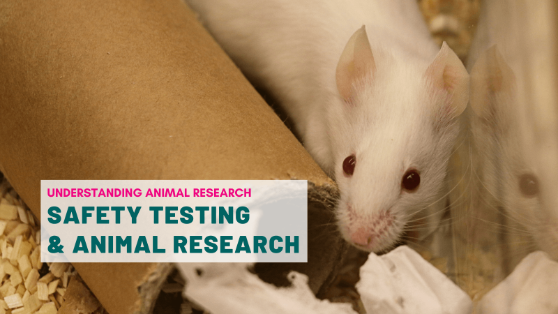 Safety testing and animal research