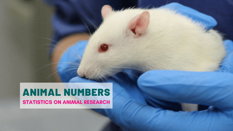 Number of animals used in scientific research