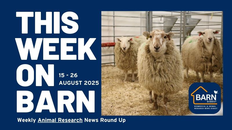 This week on BARN - animal research news from UAR members (19 - 26 August 2025)