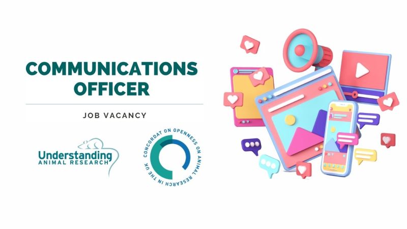 Job advertisement: Communications Officer