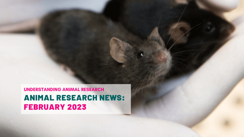 Animal Research News: February 2023