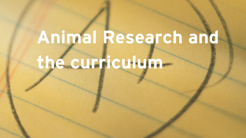 Animal research and the curriculum