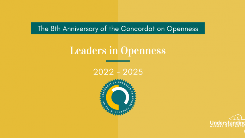 Leaders in Openness 2022 - 2025 Announced