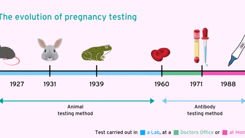 History of pregnancy testing