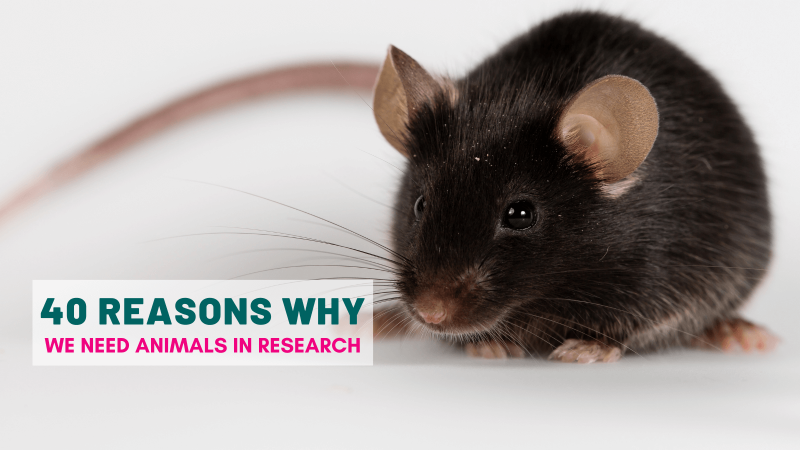 40 reasons why we need animal research