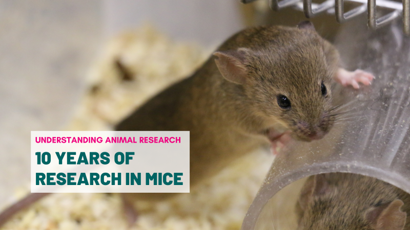 Ten years of research with mice