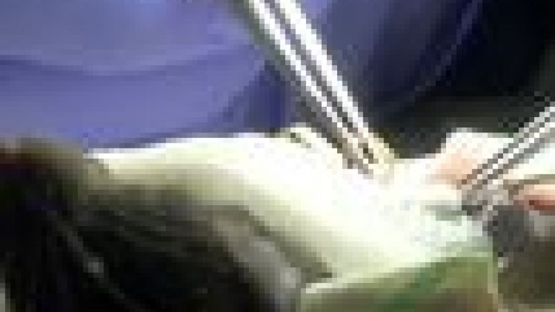 Organ transplants and animal research