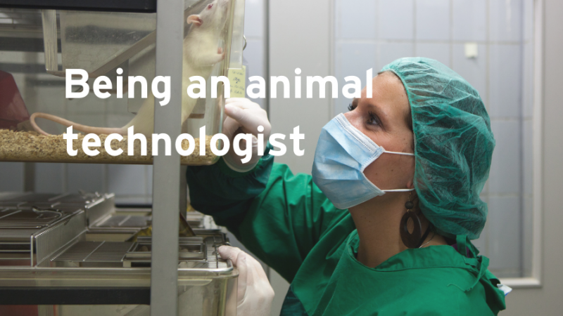 What is it like being an animal technologist?