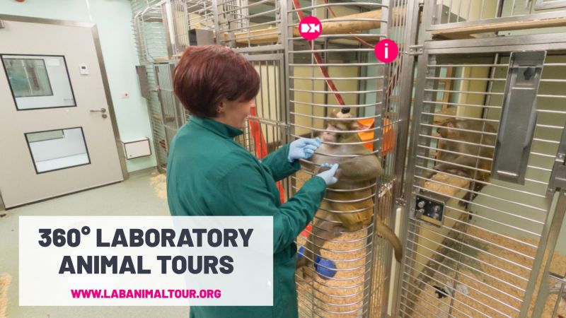 Virtual laboratory tours