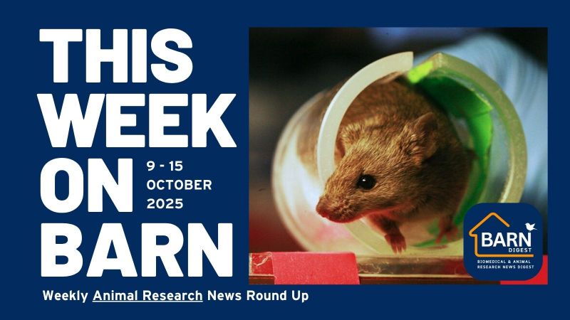 This week on BARN - animal research news from UAR members (9 - 15 October 2025)