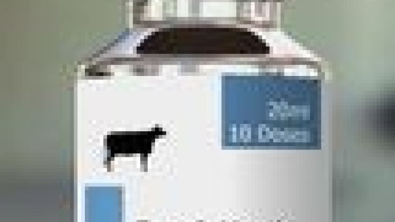 Foot and Mouth Vaccine Production