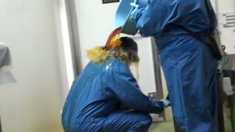 Stopping dangerous diseases from getting out