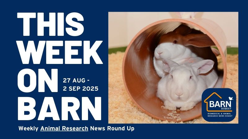 This week on BARN - animal research news from UAR members (27 August - 2 September 2025)