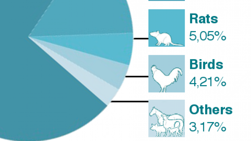Numbers of animals