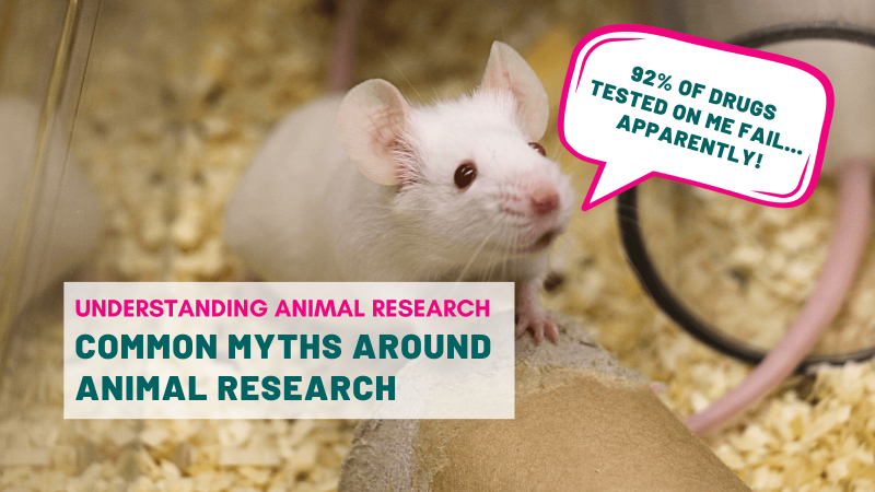 Common myths around animal research